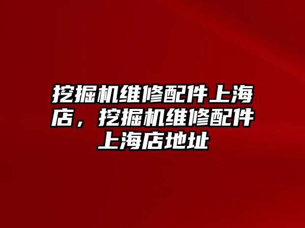 挖掘機(jī)維修配件上海店，挖掘機(jī)維修配件上海店地址