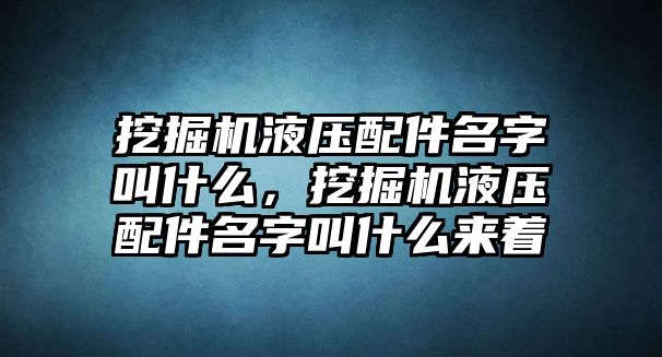 挖掘機液壓配件名字叫什么，挖掘機液壓配件名字叫什么來著