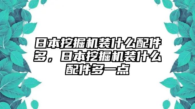 日本挖掘機(jī)裝什么配件多，日本挖掘機(jī)裝什么配件多一點(diǎn)