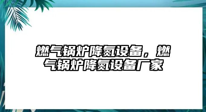 燃氣鍋爐降氮設(shè)備，燃氣鍋爐降氮設(shè)備廠家