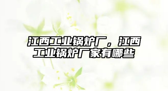 江西工業鍋爐廠，江西工業鍋爐廠家有哪些