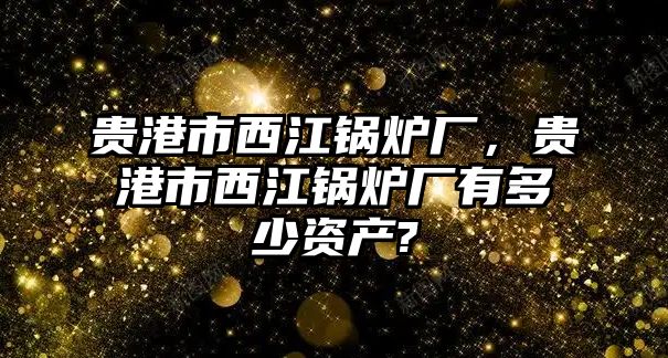 貴港市西江鍋爐廠，貴港市西江鍋爐廠有多少資產?