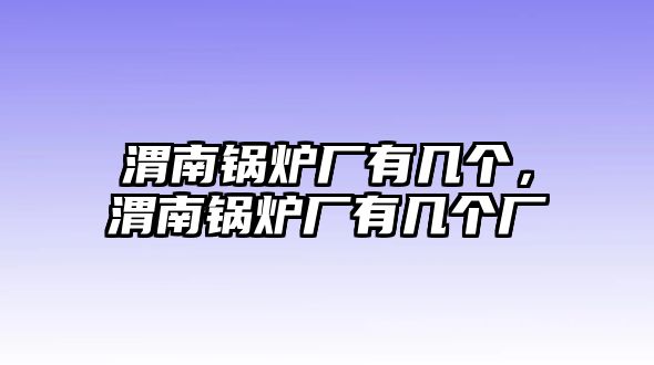 渭南鍋爐廠有幾個，渭南鍋爐廠有幾個廠