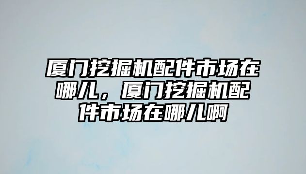 廈門挖掘機配件市場在哪兒，廈門挖掘機配件市場在哪兒啊