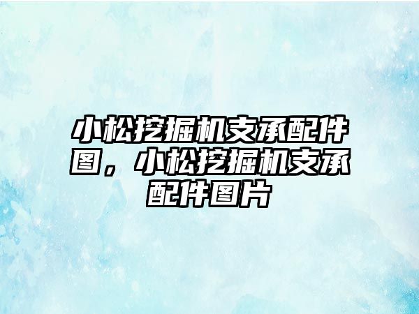 小松挖掘機支承配件圖，小松挖掘機支承配件圖片