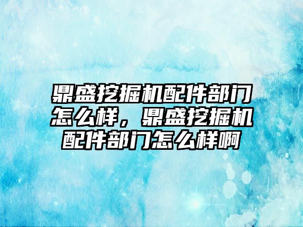 鼎盛挖掘機配件部門怎么樣，鼎盛挖掘機配件部門怎么樣啊