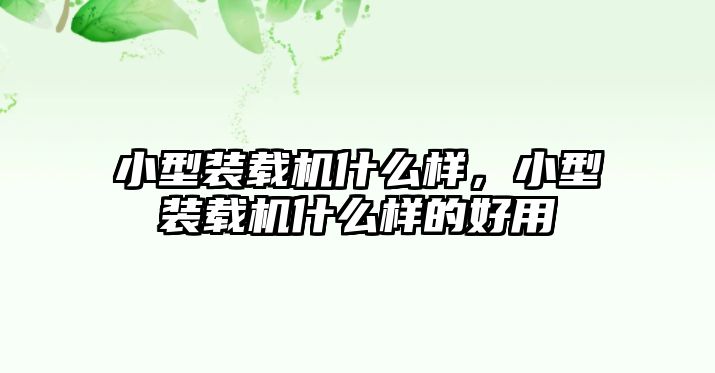 小型裝載機什么樣，小型裝載機什么樣的好用