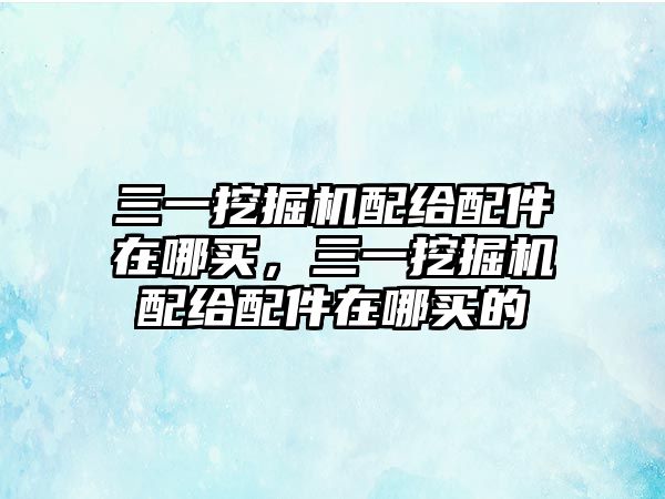 三一挖掘機(jī)配給配件在哪買，三一挖掘機(jī)配給配件在哪買的