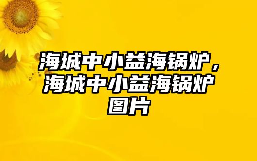 海城中小益海鍋爐，海城中小益海鍋爐圖片