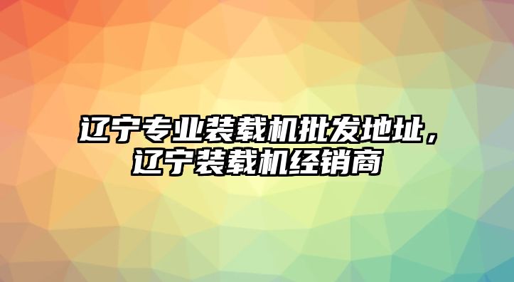 遼寧專業(yè)裝載機(jī)批發(fā)地址，遼寧裝載機(jī)經(jīng)銷商