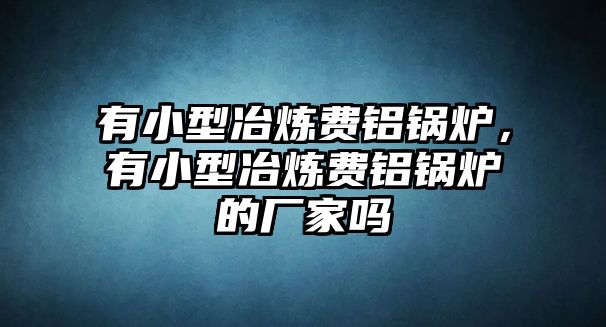 有小型冶煉費鋁鍋爐，有小型冶煉費鋁鍋爐的廠家嗎