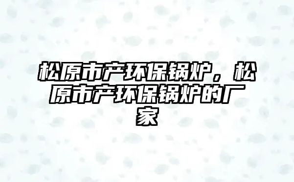 松原市產環保鍋爐，松原市產環保鍋爐的廠家