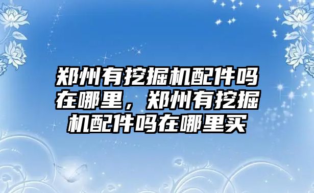 鄭州有挖掘機配件嗎在哪里，鄭州有挖掘機配件嗎在哪里買