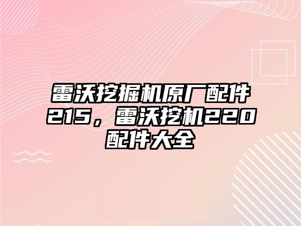 雷沃挖掘機原廠配件215，雷沃挖機220配件大全