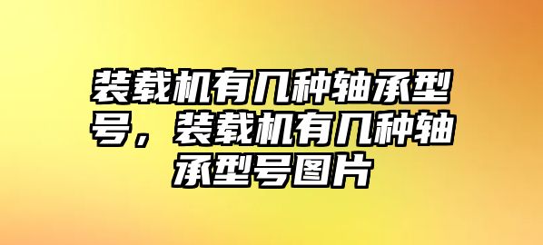 裝載機有幾種軸承型號，裝載機有幾種軸承型號圖片