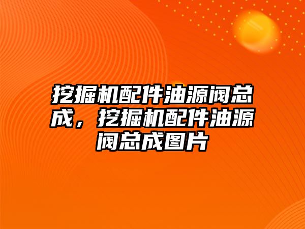 挖掘機配件油源閥總成，挖掘機配件油源閥總成圖片