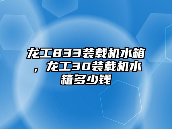 龍工833裝載機水箱，龍工30裝載機水箱多少錢