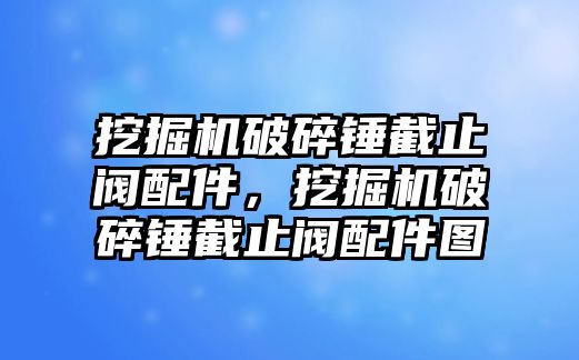 挖掘機(jī)破碎錘截止閥配件，挖掘機(jī)破碎錘截止閥配件圖