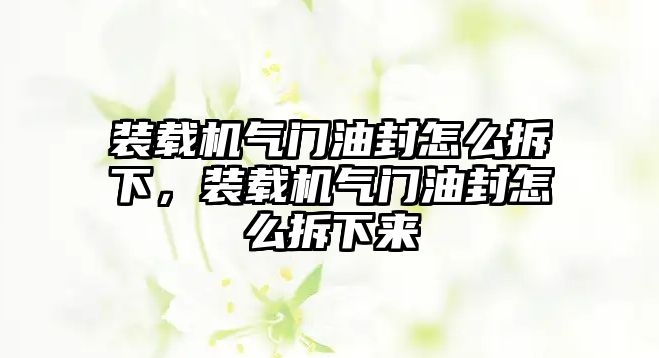 裝載機氣門油封怎么拆下，裝載機氣門油封怎么拆下來