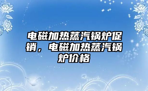 電磁加熱蒸汽鍋爐促銷，電磁加熱蒸汽鍋爐價格