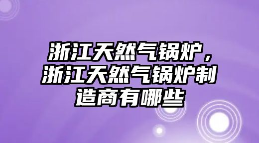 浙江天然氣鍋爐，浙江天然氣鍋爐制造商有哪些