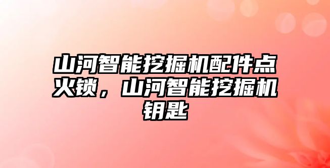 山河智能挖掘機(jī)配件點(diǎn)火鎖，山河智能挖掘機(jī)鑰匙