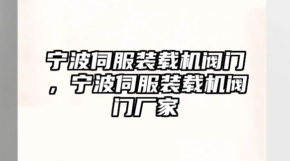 寧波伺服裝載機(jī)閥門(mén)，寧波伺服裝載機(jī)閥門(mén)廠家