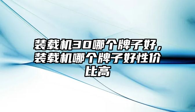 裝載機30哪個牌子好，裝載機哪個牌子好性價比高