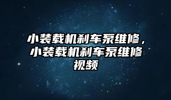 小裝載機剎車泵維修，小裝載機剎車泵維修視頻