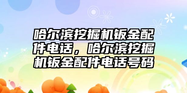 哈爾濱挖掘機鈑金配件電話，哈爾濱挖掘機鈑金配件電話號碼