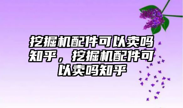 挖掘機配件可以賣嗎知乎，挖掘機配件可以賣嗎知乎