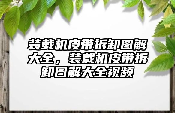 裝載機皮帶拆卸圖解大全，裝載機皮帶拆卸圖解大全視頻