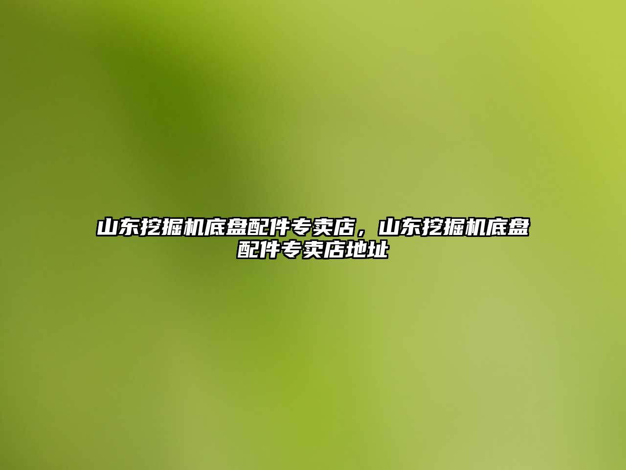 山東挖掘機底盤配件專賣店，山東挖掘機底盤配件專賣店地址