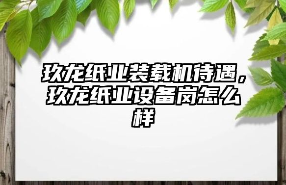 玖龍紙業(yè)裝載機(jī)待遇，玖龍紙業(yè)設(shè)備崗怎么樣