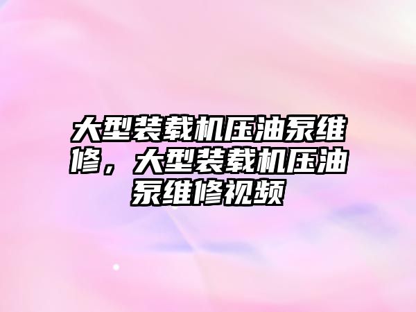 大型裝載機(jī)壓油泵維修，大型裝載機(jī)壓油泵維修視頻