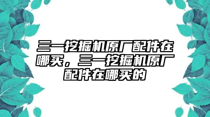 三一挖掘機原廠配件在哪買，三一挖掘機原廠配件在哪買的