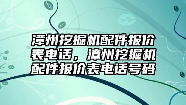 漳州挖掘機配件報價表電話，漳州挖掘機配件報價表電話號碼