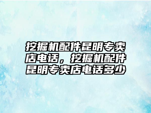 挖掘機配件昆明專賣店電話，挖掘機配件昆明專賣店電話多少