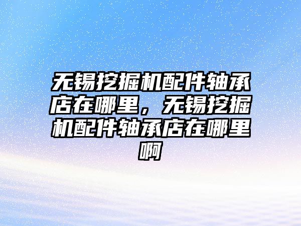 無錫挖掘機配件軸承店在哪里，無錫挖掘機配件軸承店在哪里啊