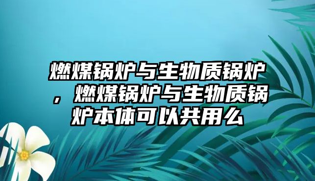 燃煤鍋爐與生物質鍋爐，燃煤鍋爐與生物質鍋爐本體可以共用么