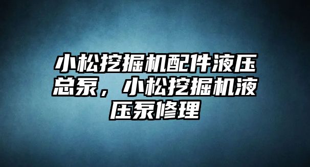 小松挖掘機配件液壓總泵，小松挖掘機液壓泵修理