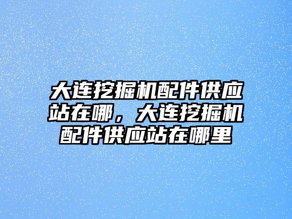 大連挖掘機配件供應站在哪，大連挖掘機配件供應站在哪里