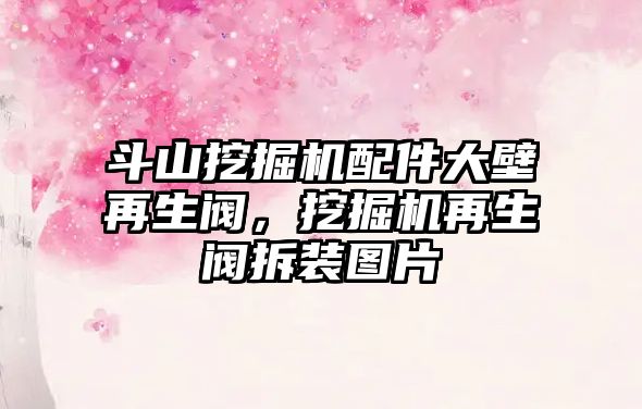 斗山挖掘機配件大壁再生閥，挖掘機再生閥拆裝圖片