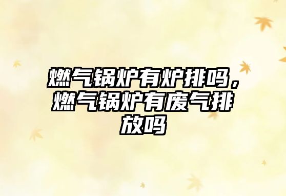 燃?xì)忮仩t有爐排嗎，燃?xì)忮仩t有廢氣排放嗎