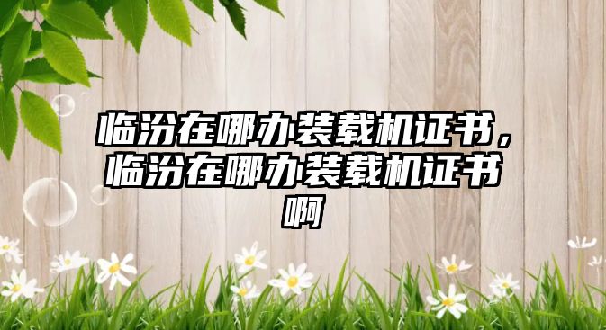 臨汾在哪辦裝載機證書，臨汾在哪辦裝載機證書啊