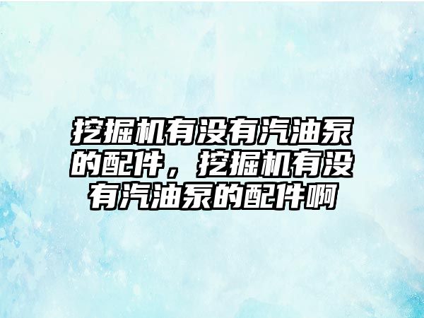 挖掘機有沒有汽油泵的配件，挖掘機有沒有汽油泵的配件啊