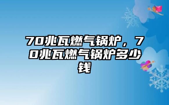 70兆瓦燃?xì)忮仩t，70兆瓦燃?xì)忮仩t多少錢