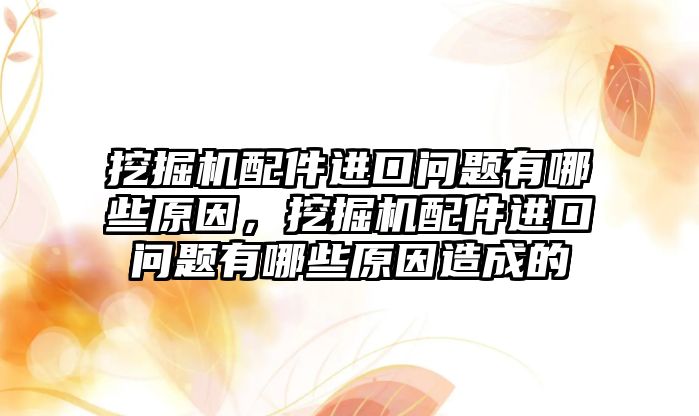 挖掘機配件進口問題有哪些原因，挖掘機配件進口問題有哪些原因造成的