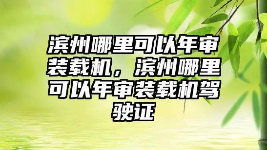 濱州哪里可以年審裝載機，濱州哪里可以年審裝載機駕駛證