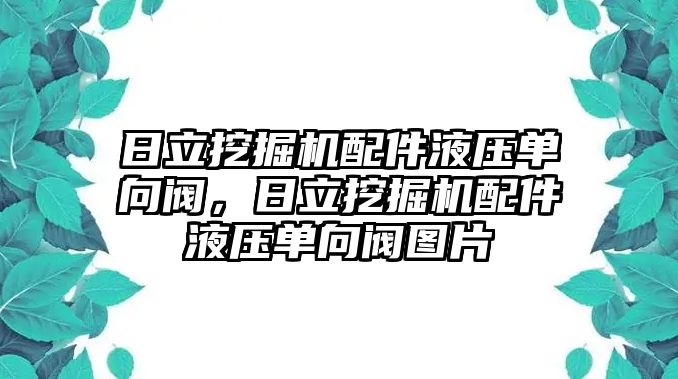 日立挖掘機配件液壓單向閥，日立挖掘機配件液壓單向閥圖片